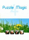 game pic for Puzzle Magic 4